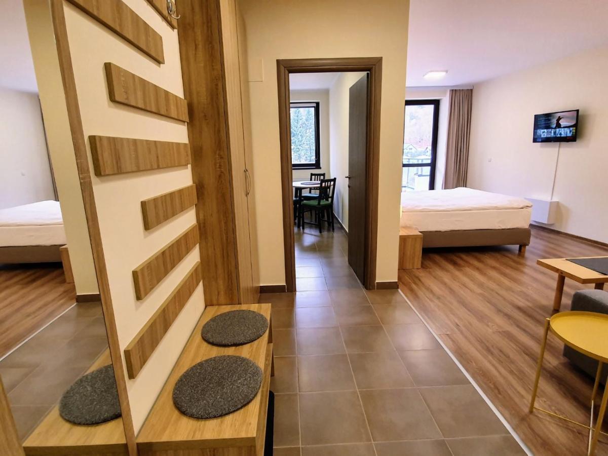 Studio Mountain View Sinaia Exterior photo
